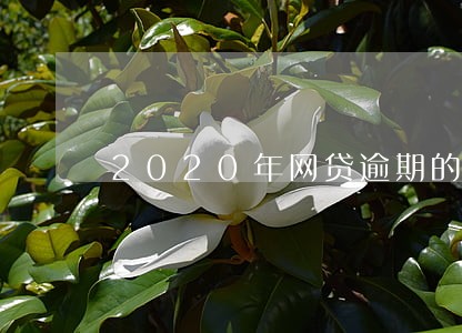 2020年网贷逾期的利息 2020年网贷逾期的利息