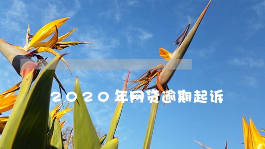 2020年网贷逾期起诉 2020年网贷逾期起诉