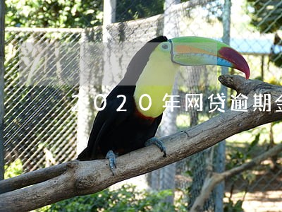 2020年网贷逾期金额 2020年网贷逾期金额