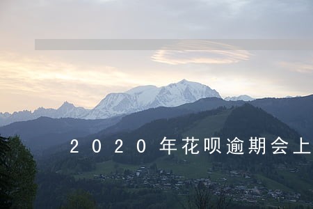 2020年花呗逾期会上征信吗 2020年花呗逾期会上征信吗