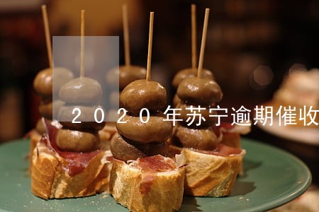 2020年苏宁逾期催收 2020年苏宁逾期催收