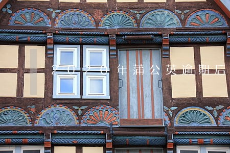 2020年蒲公英逾期后果 2020年蒲公英逾期后果