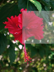 2020年行政法年会 2020年行政法年会