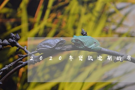 2020年贷款逾期的有多少 2020年贷款逾期的有多少