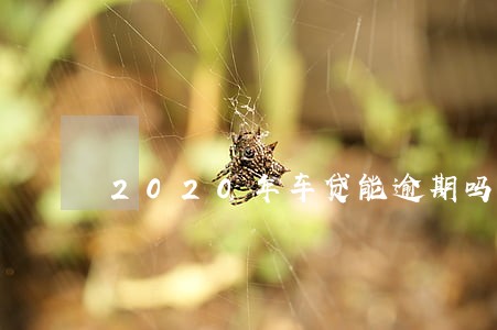 2020年车贷能逾期吗 2020年车贷能逾期吗