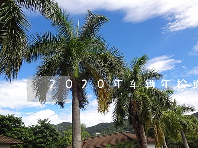 2020年车辆年检逾期罚款吗
