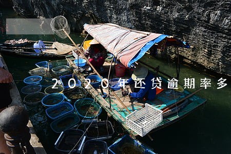 2020年还贷逾期率多少 2020年还贷逾期率多少