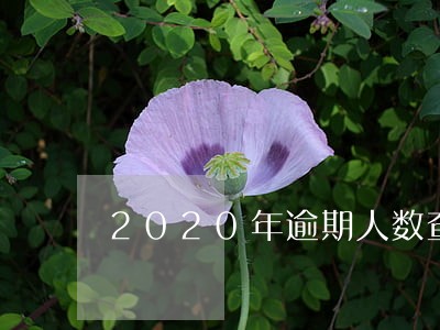 2020年逾期人数查询 2020年逾期人数查询