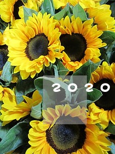 2020年逾期付款利息标准 2020年逾期付款利息标准