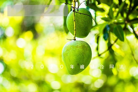 2020年逾期合同法 2020年逾期合同法