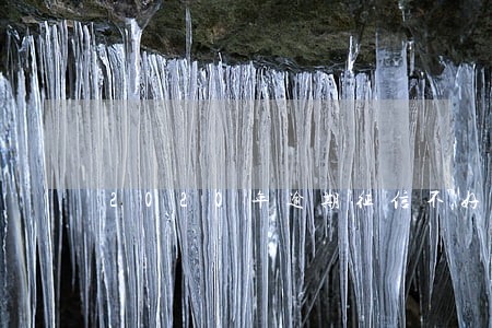 2020年逾期征信不好的网贷