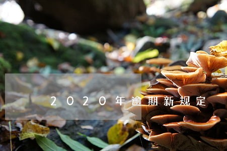 2020年逾期新规定 2020年逾期新规定