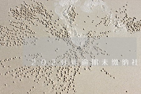 2020年逾期未缴纳社保处罚