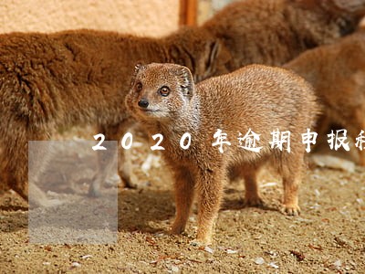 2020年逾期申报税会怎样 2020年逾期申报税会怎样