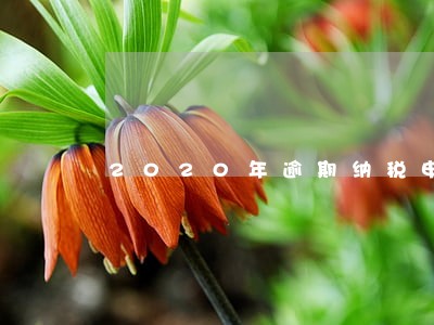 2020年逾期纳税申报 2020年逾期纳税申报