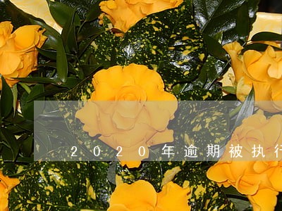 2020年逾期被执行 2020年逾期被执行
