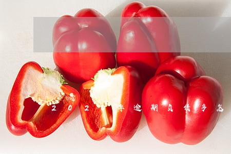 2020年逾期负债多怎么办 2020年逾期负债多怎么办