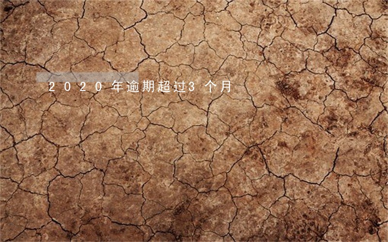 2020年逾期超过3个月 2020年逾期超过3个月