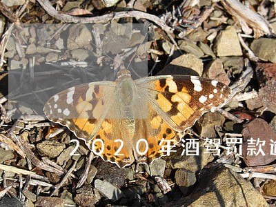 2020年酒驾罚款逾期了