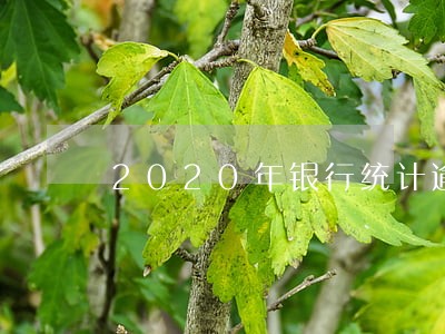 2020年银行统计逾期 2020年银行统计逾期