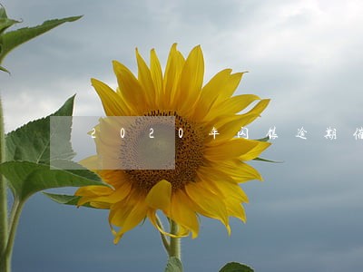 2020年闪银逾期催收 2020年闪银逾期催收