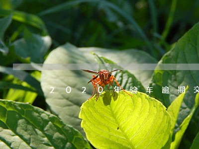 2020年验车逾期交罚款吗 2020年验车逾期交罚款吗