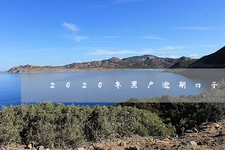 2020年黑户逾期口子 2020年黑户逾期口子