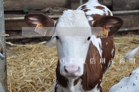 2020广发信用卡逾期一天 2020广发信用卡逾期一天