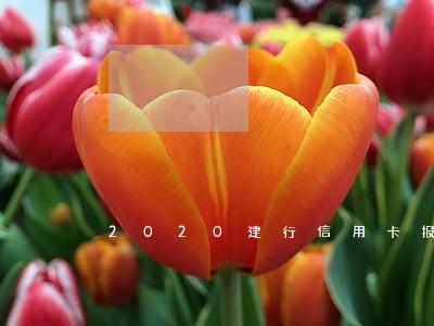 2020建行信用卡报送逾期 2020建行信用卡报送逾期