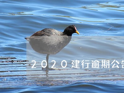 2020建行逾期公告 2020建行逾期公告