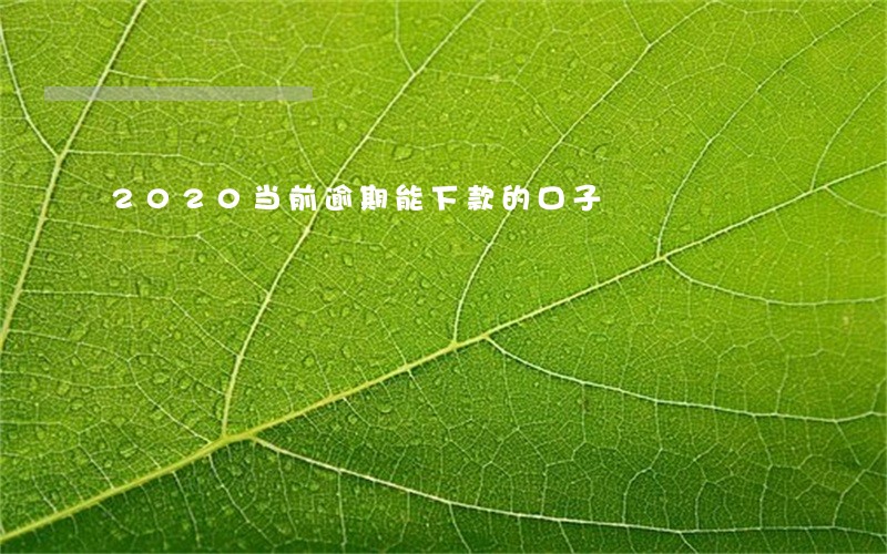 2020当前逾期能下款的口子 2020当前逾期能下款的口子