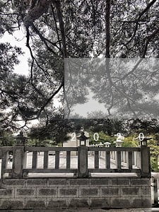 2020当前逾期能做的口子 2020当前逾期能做的口子