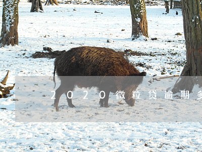 2020微粒贷逾期多吗 2020微粒贷逾期多吗