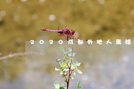 2020成都外地人离婚购房 2020成都外地人离婚购房