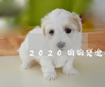 2020拍拍贷逾期4天 2020拍拍贷逾期4天
