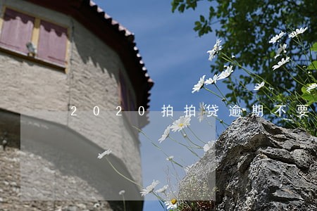 2020拍拍贷逾期不要怕 2020拍拍贷逾期不要怕