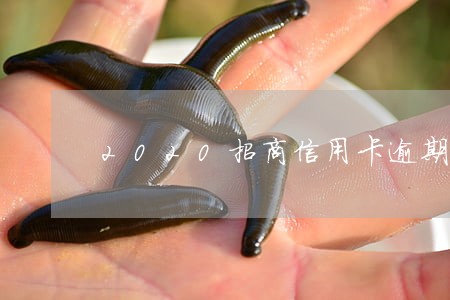 2020招商信用卡逾期9个月 2020招商信用卡逾期9个月