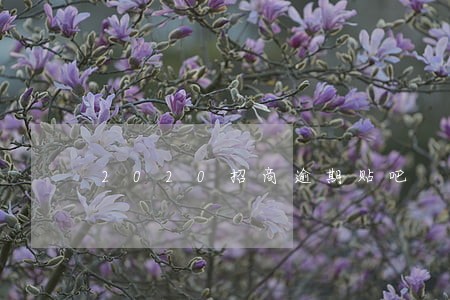 2020招商逾期贴吧