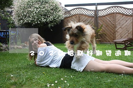 2020招联好期贷逾期了