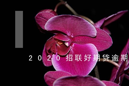 2020招联好期贷逾期多少人啊 2020招联好期贷逾期多少人啊