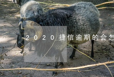 2020捷信逾期的会怎么样 2020捷信逾期的会怎么样