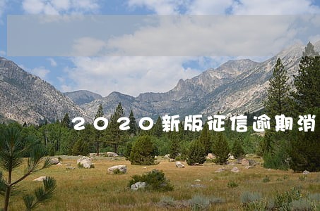2020新版征信逾期消除