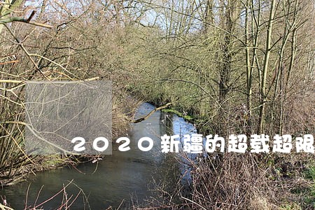 2020新疆的超载超限法规 2020新疆的超载超限法规