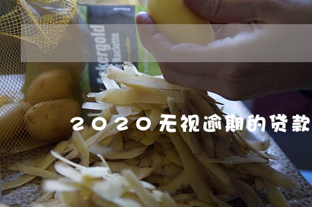 2020无视逾期的贷款平台 2020无视逾期的贷款平台
