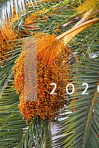 2020普惠金融贷款逾期 2020普惠金融贷款逾期