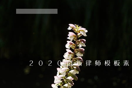 2020最新律师模板素材下载 2020最新律师模板素材下载