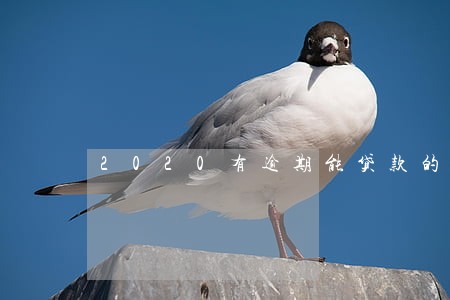 2020有逾期能贷款的口子 2020有逾期能贷款的口子