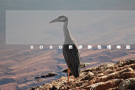 2020有逾期负债哪能借款 2020有逾期负债哪能借款