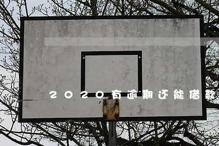 2020有逾期还能借款 2020有逾期还能借款