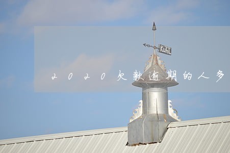 2020欠款逾期的人多么